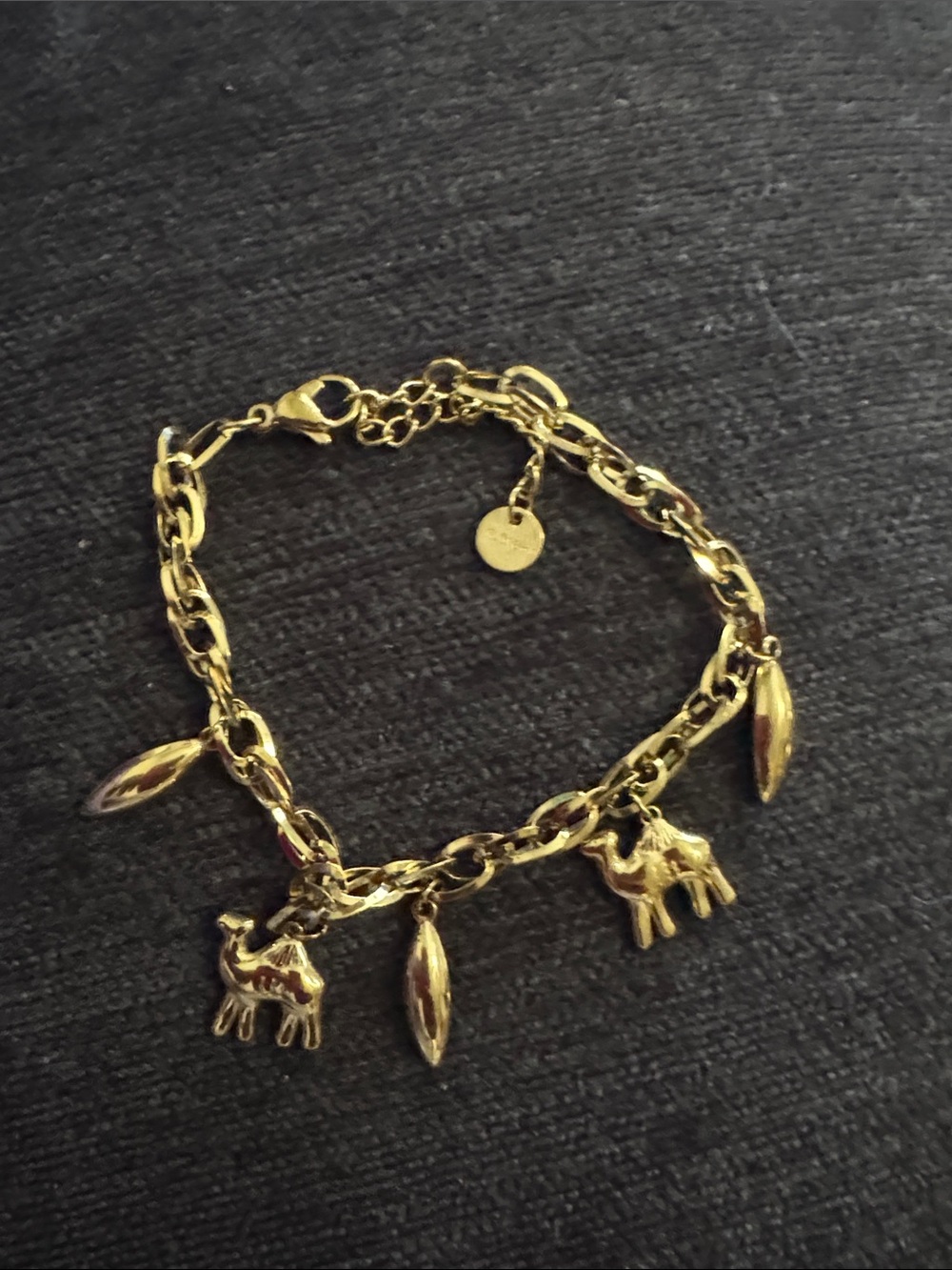Stainless steel Charm Chain Bracelet with Animal Pendants